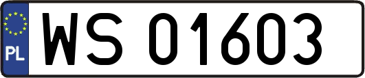WS01603