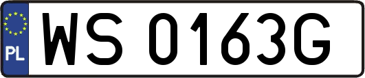 WS0163G