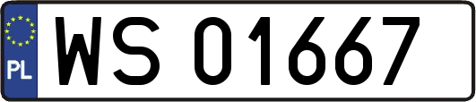 WS01667