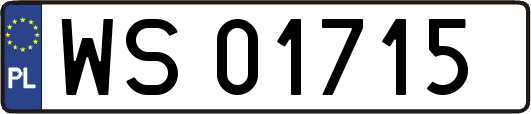 WS01715