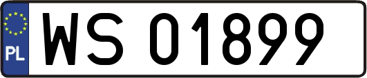 WS01899