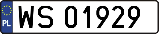WS01929