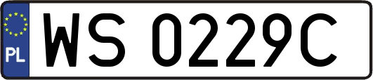 WS0229C