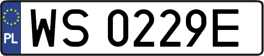 WS0229E