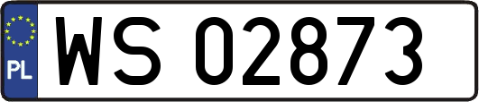 WS02873