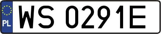 WS0291E