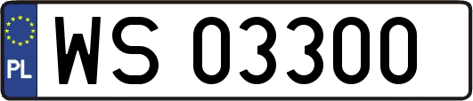 WS03300