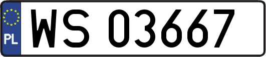 WS03667