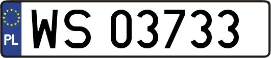 WS03733