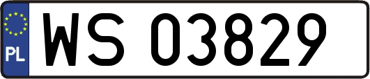WS03829