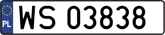 WS03838