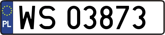 WS03873
