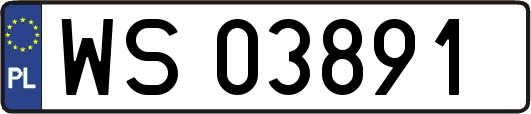 WS03891