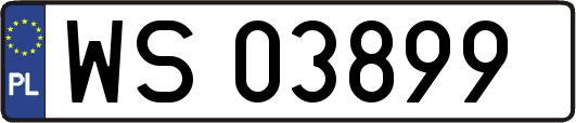 WS03899