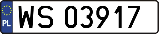 WS03917
