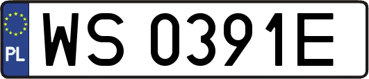 WS0391E