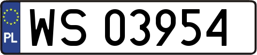 WS03954