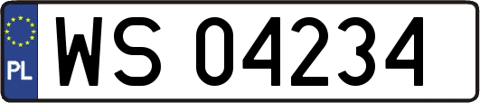 WS04234