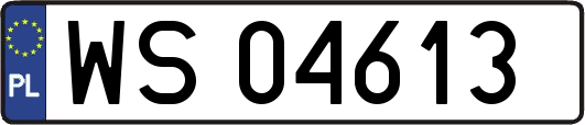 WS04613