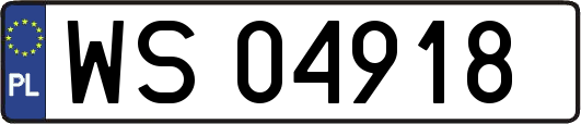 WS04918