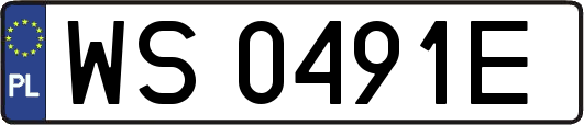 WS0491E