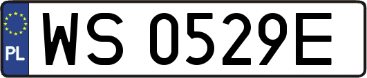WS0529E
