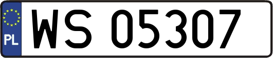 WS05307