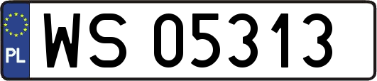 WS05313