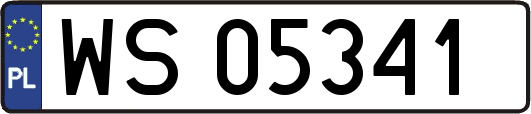 WS05341