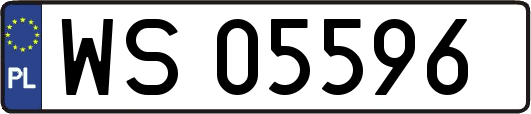 WS05596