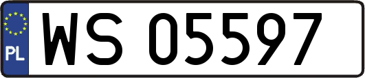 WS05597