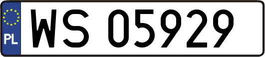 WS05929