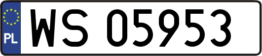 WS05953