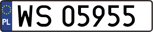 WS05955