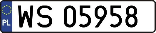 WS05958