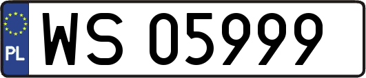 WS05999