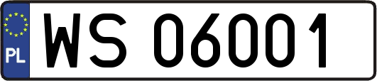 WS06001