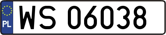 WS06038