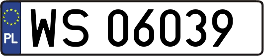 WS06039