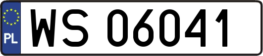 WS06041