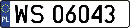 WS06043