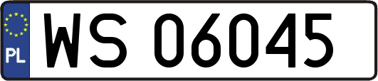 WS06045