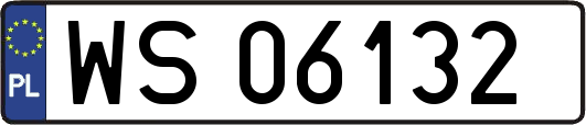 WS06132