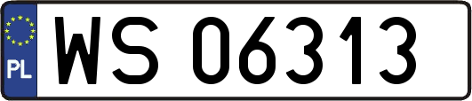 WS06313