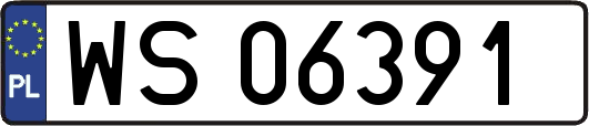 WS06391