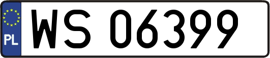 WS06399