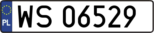 WS06529