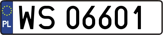 WS06601