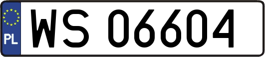 WS06604