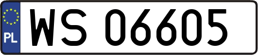 WS06605